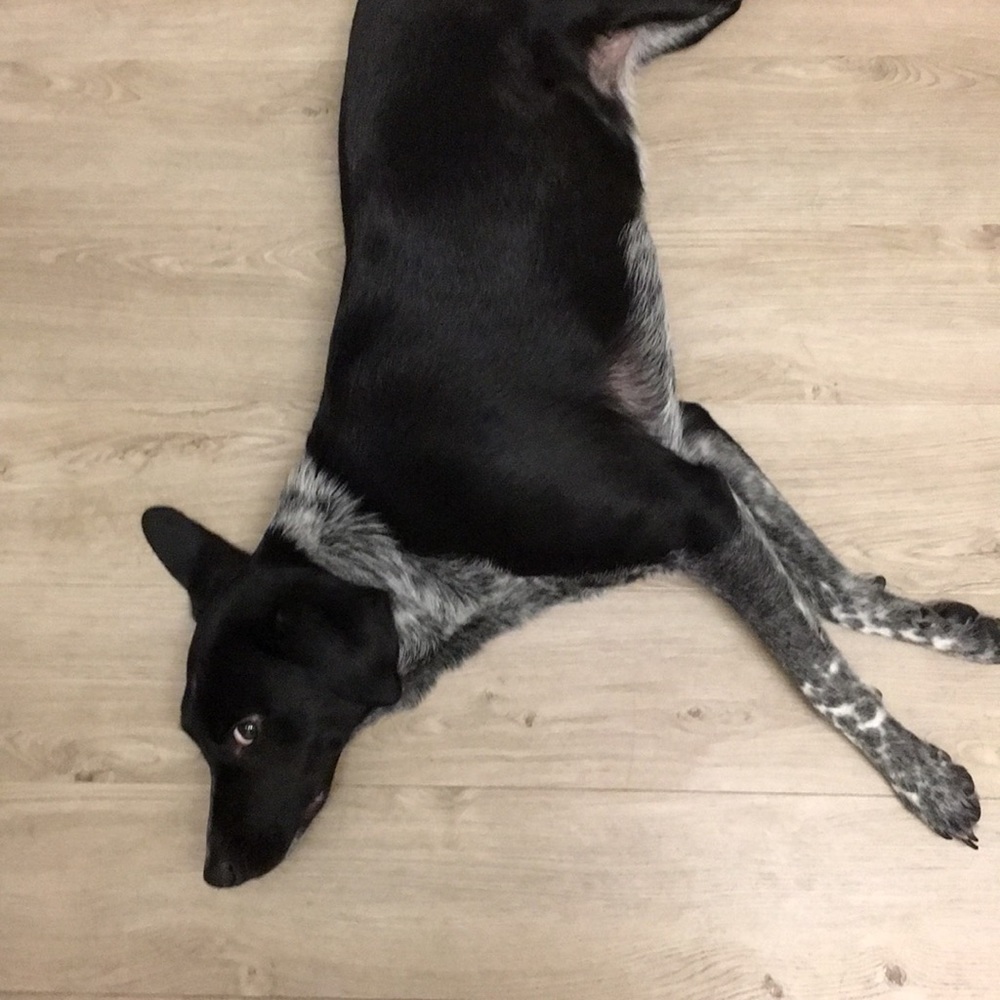 Meet your Posher, Kate